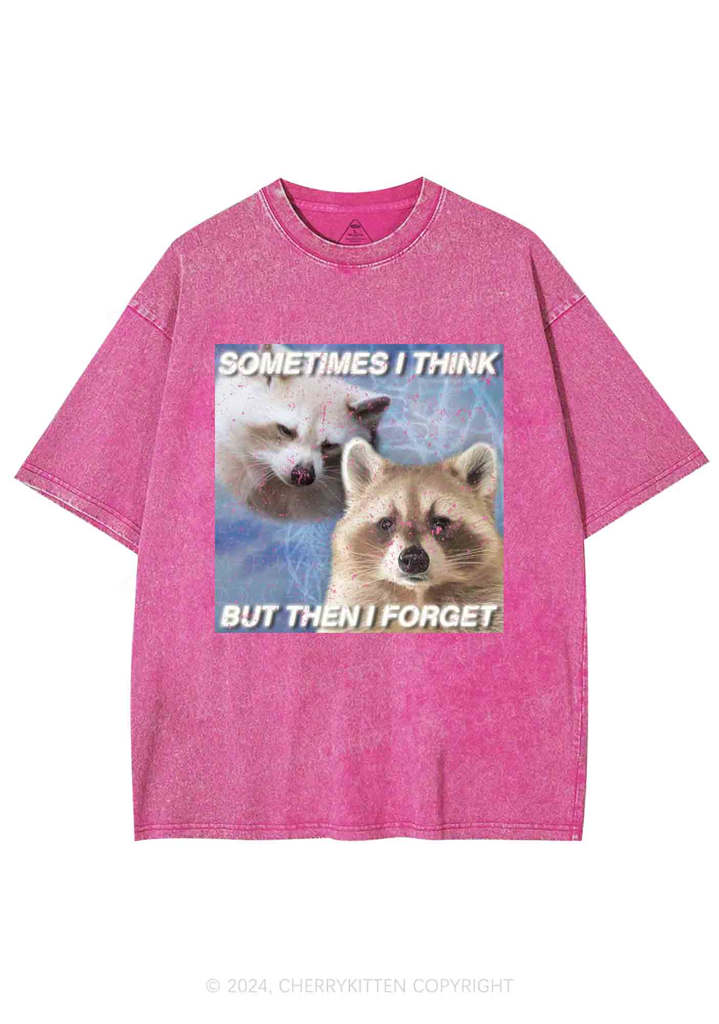 Raccoon Sometimes Think Y2K Washed Tee Cherrykitten