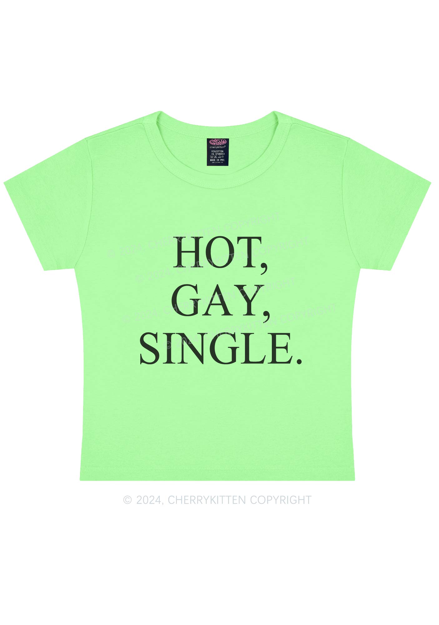 Hot Gay Single Y2K Baby Tee Cherrykitten