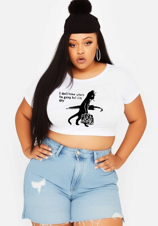 Curvy I'm Gay Y2K Baby Tee Cherrykitten