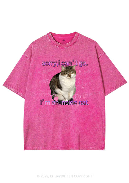 Im An Inside Cat Y2K Washed Tee Cherrykitten