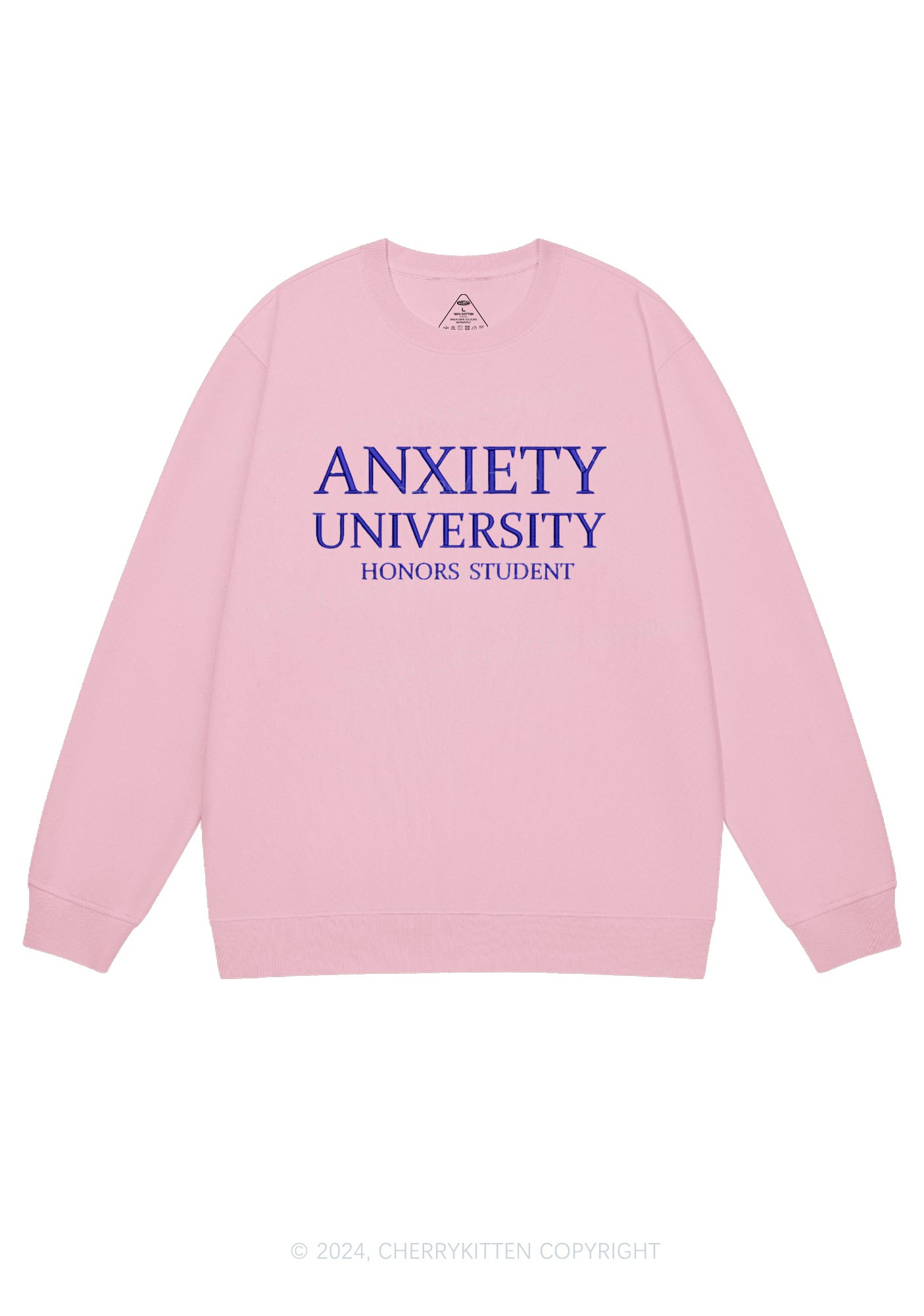 Embroidered Anxiety University Y2K Sweatshirt Cherrykitten