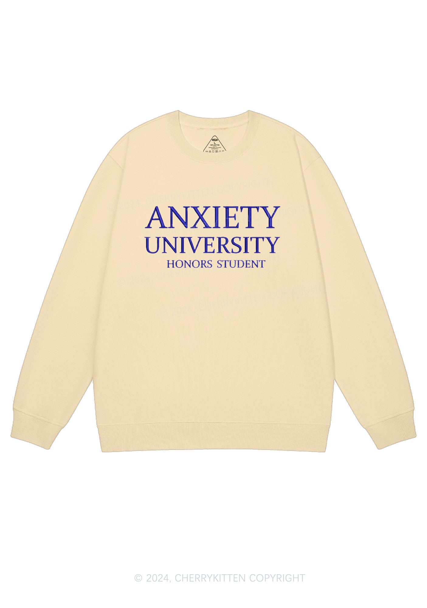 Embroidered Anxiety University Y2K Sweatshirt Cherrykitten