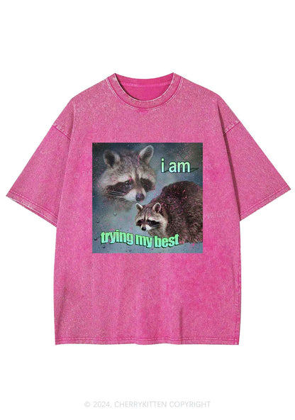 I Am Trying My Best Raccoon Y2K Washed Tee Cherrykitten