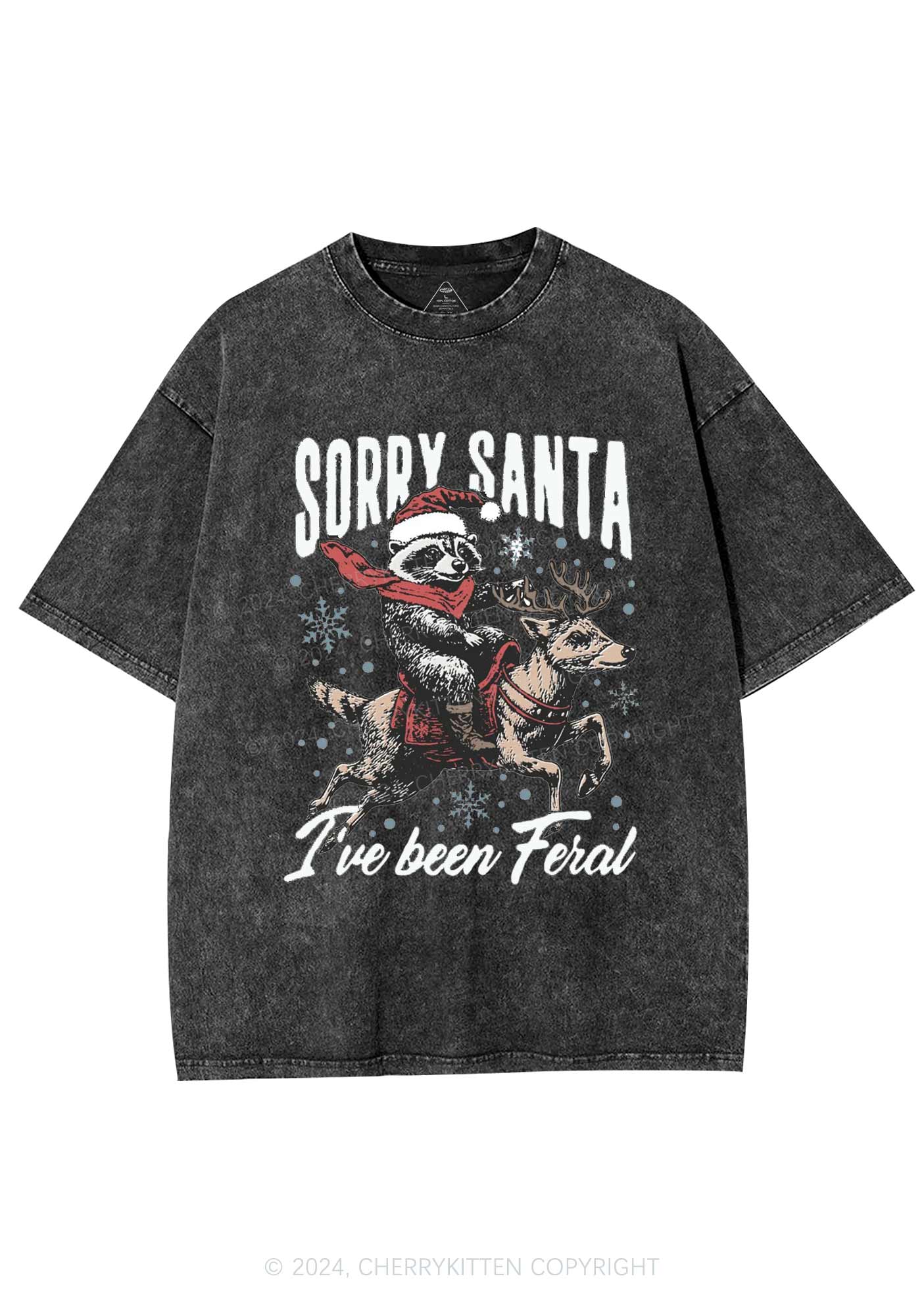 Christmas Sorry Santa Y2K Washed Tee Cherrykitten