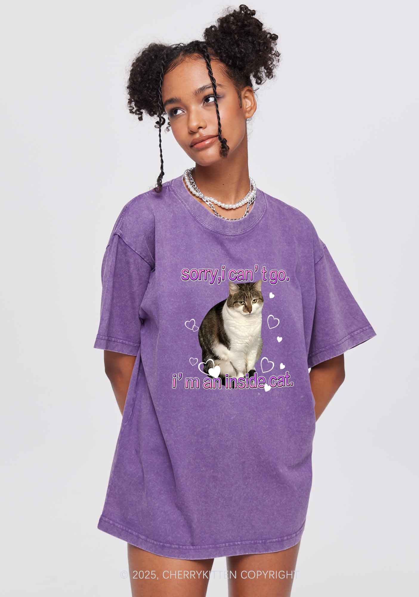 Im An Inside Cat Y2K Washed Tee Cherrykitten