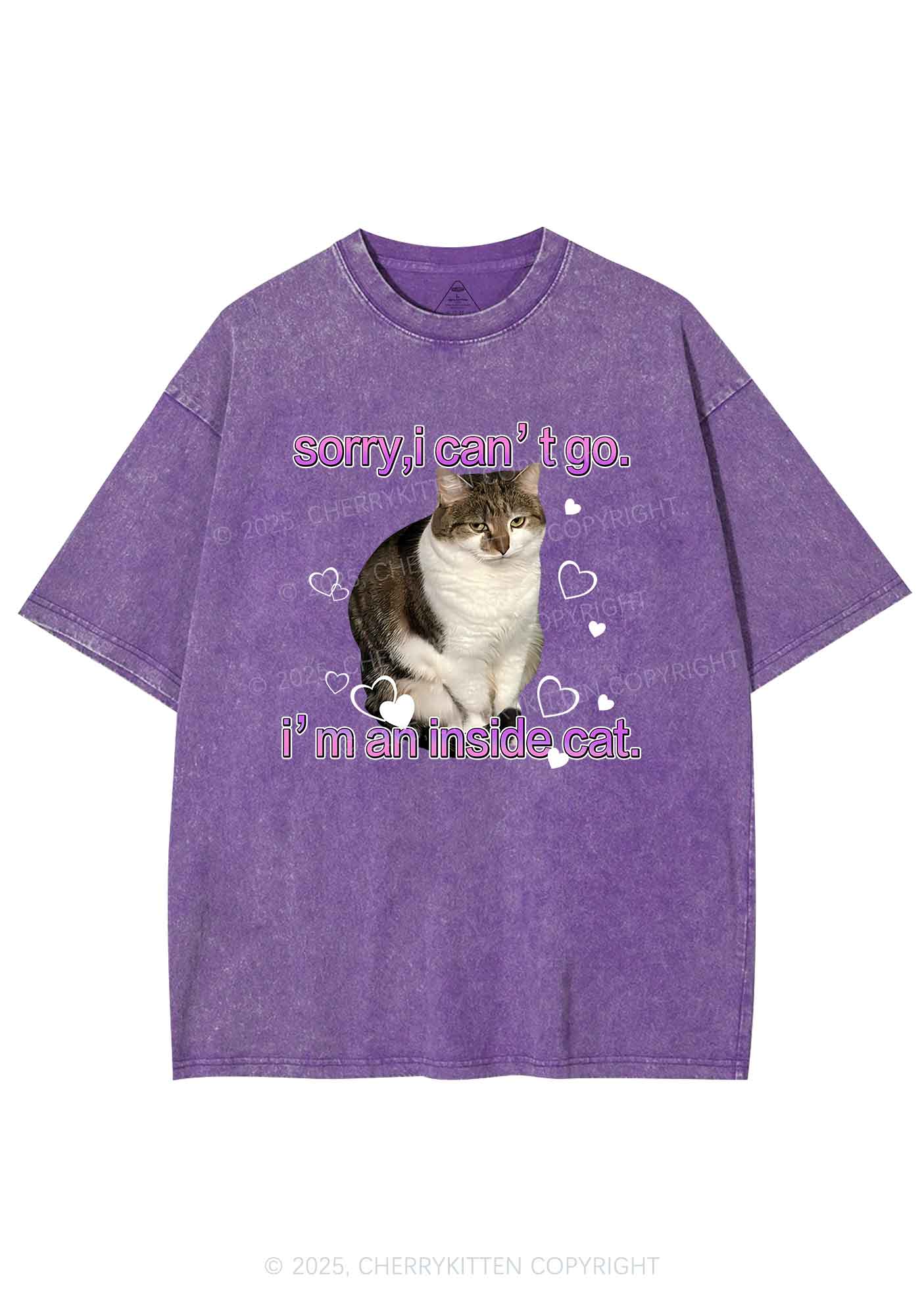 Im An Inside Cat Y2K Washed Tee Cherrykitten